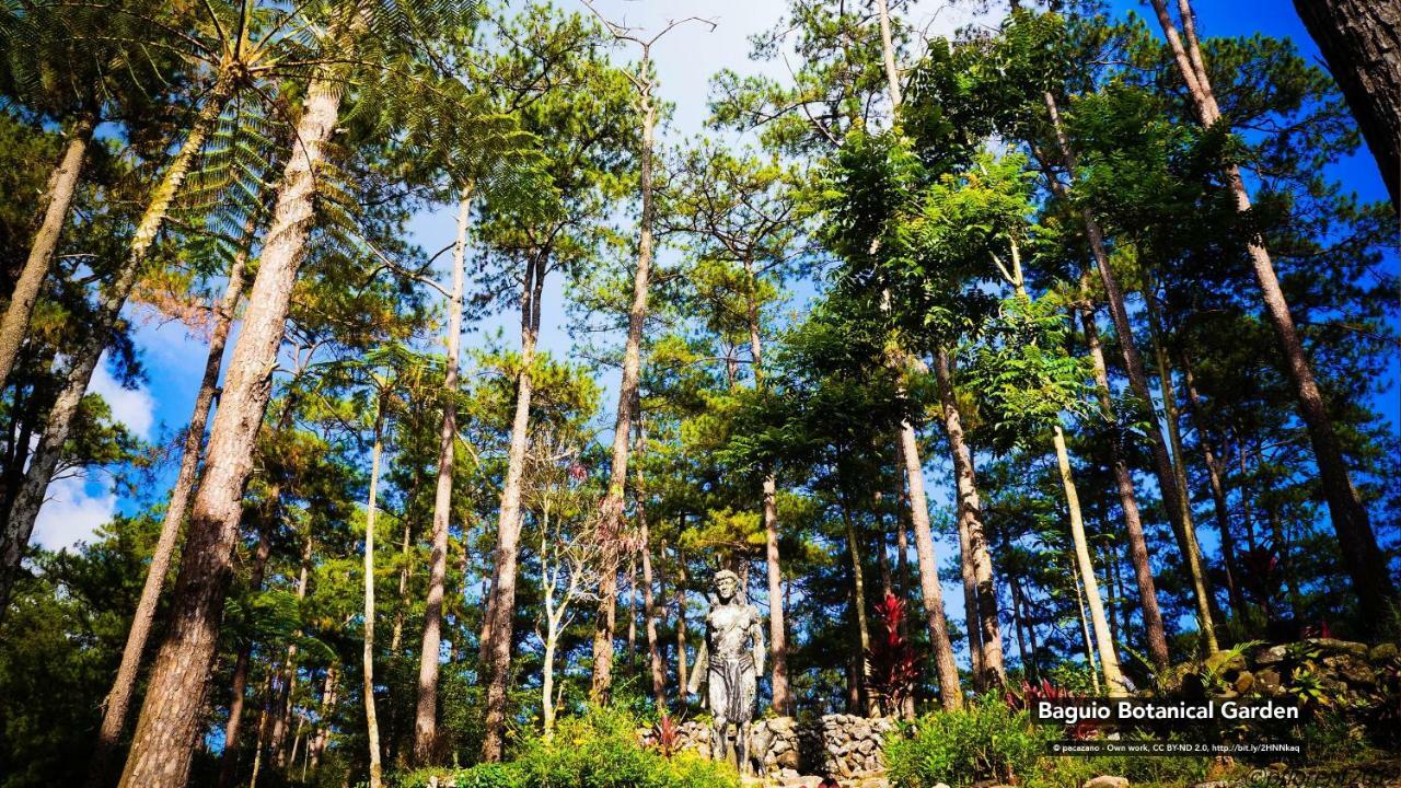 3Bu Hostel Baguio - Bonifacio 碧瑶 外观 照片